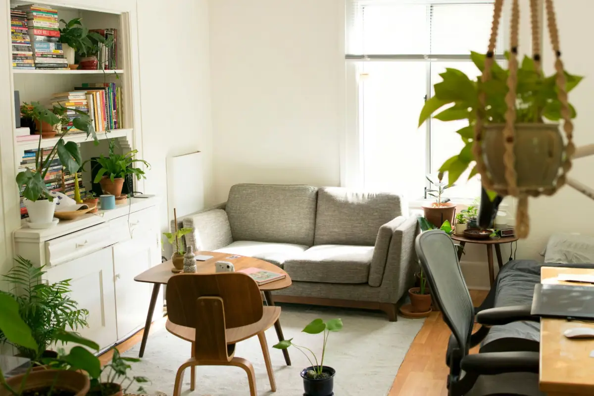 A bright, calm room with a grey sofa, a wooden chair, bookshelves and plants
