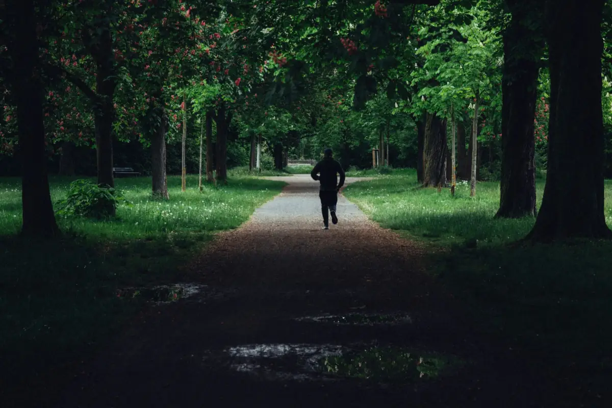 A person running along a tree-lined park path