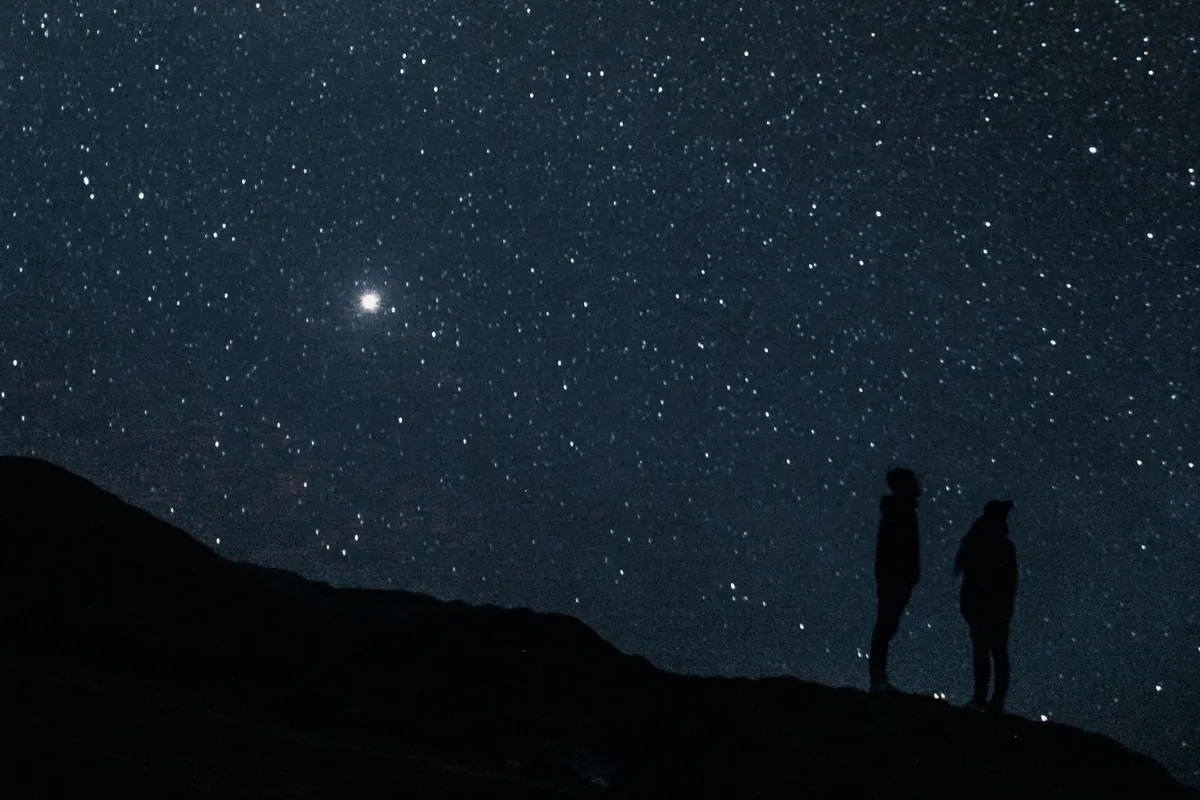 Two people in silhouette on a hillside beneath a sky full of stars